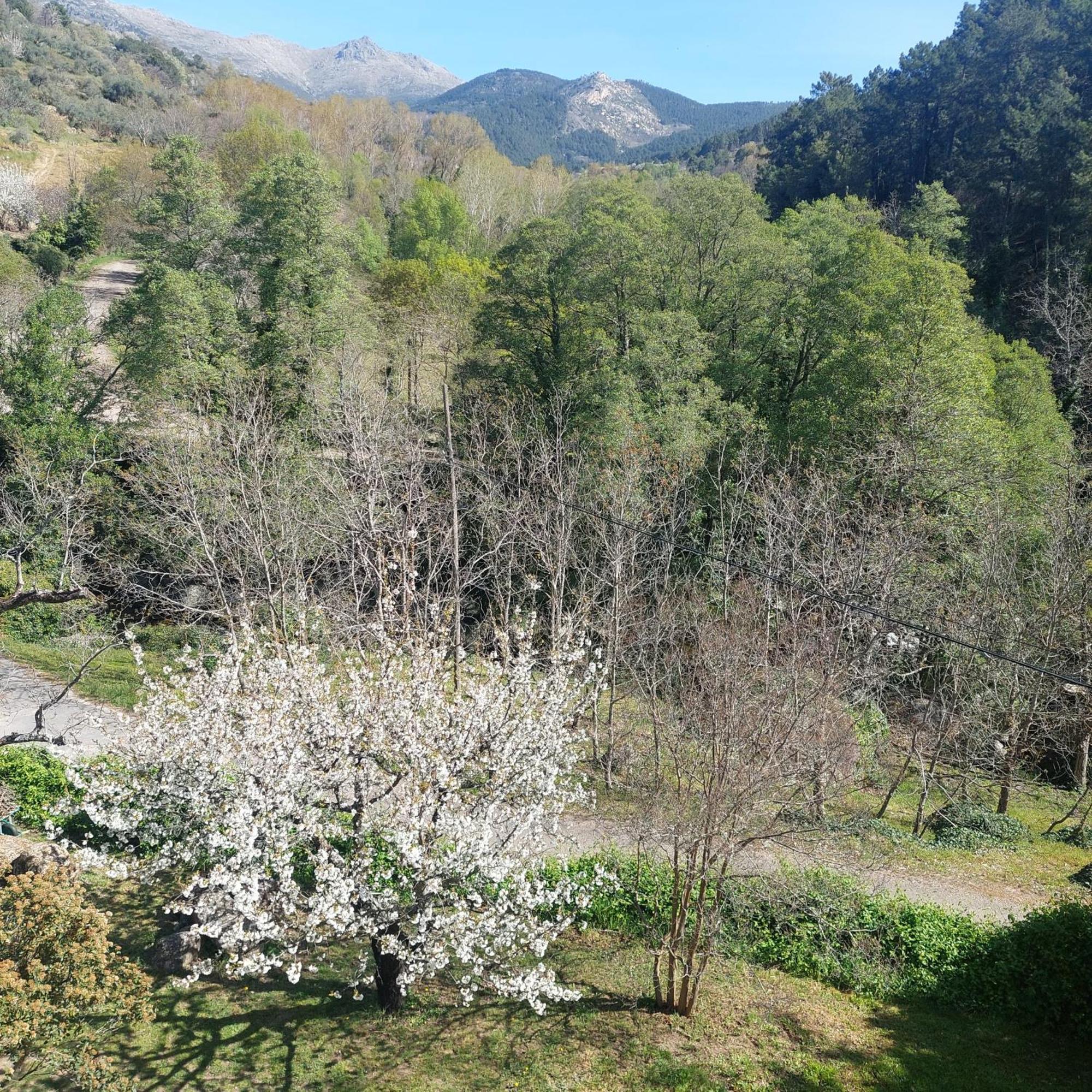 Puente Canto De Gredos Аренас-де-Сан-Педро Экстерьер фото